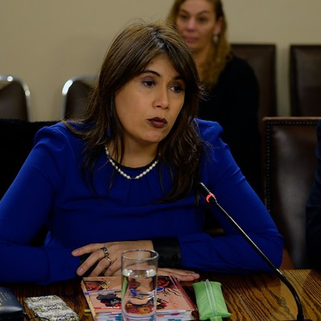 Exministra Javiera Blanco queda con firma mensual y arraigo nacional