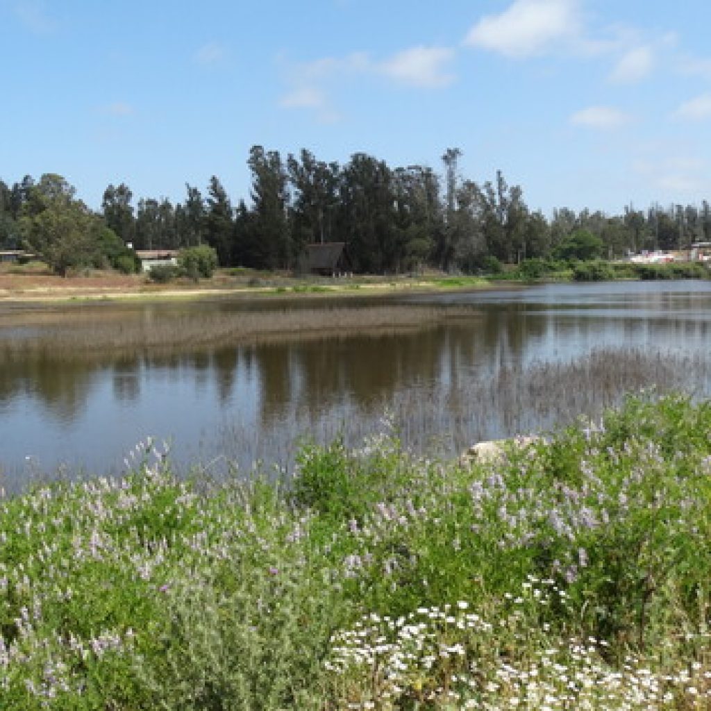 Denuncian extracción ilegal de agua en humedal de Colina