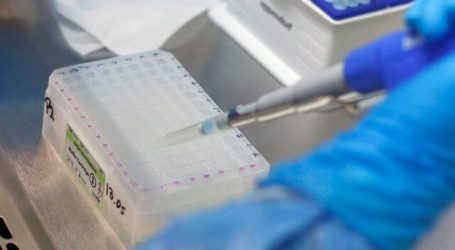Coronavirus: Sudáfrica enviará muestras de la variante ómicron al extranjero