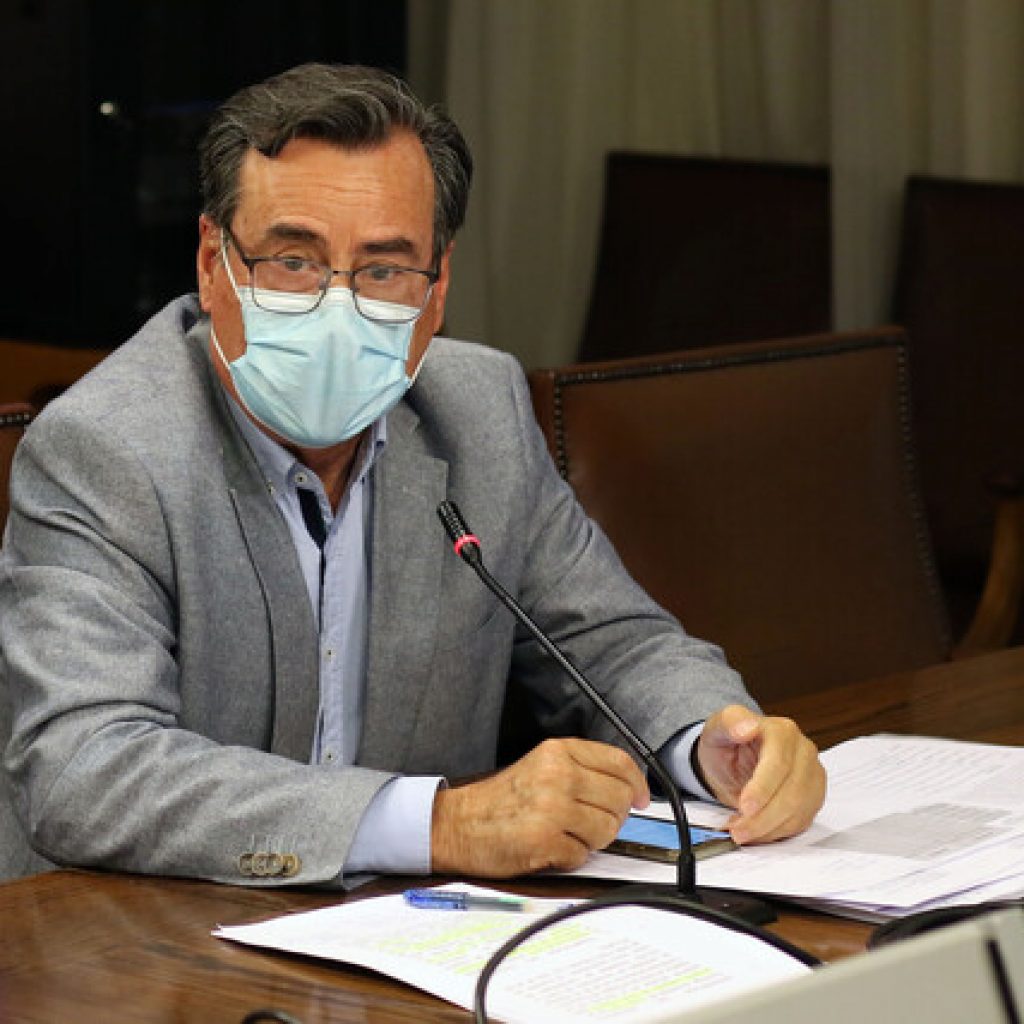 Diputados UDI cuestionaron dichos de la ONU por violencia en la macrozona sur