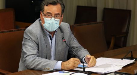 Diputados UDI cuestionaron dichos de la ONU por violencia en la macrozona sur