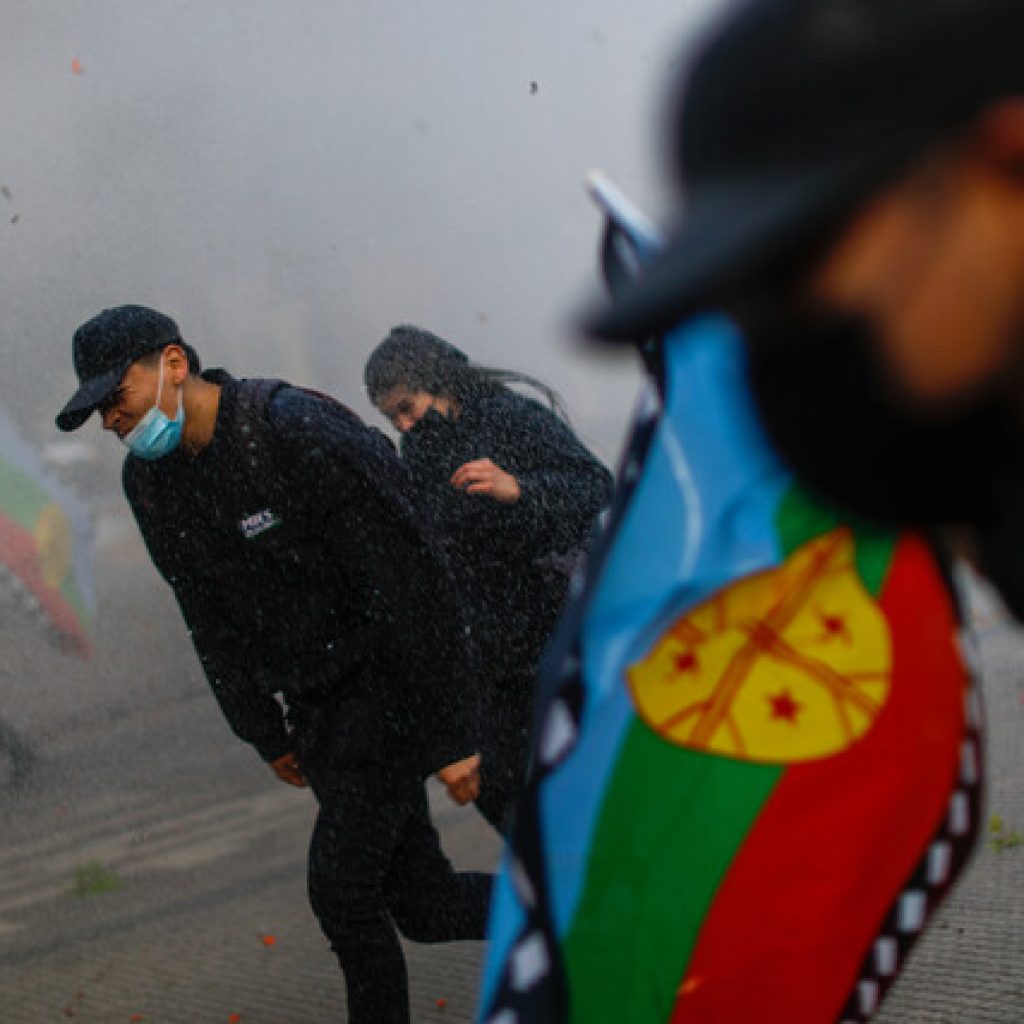 ONU Derechos Humanos lamentó la muerte de comunero mapuche en Cañete