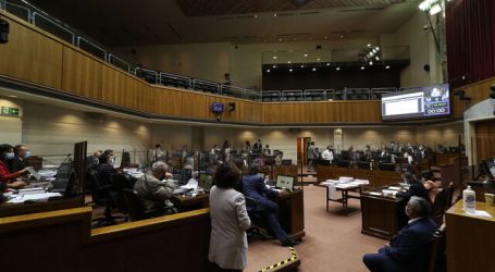 A Sala proyecto que permitirá teletrabajo a embarazadas durante alerta sanitaria
