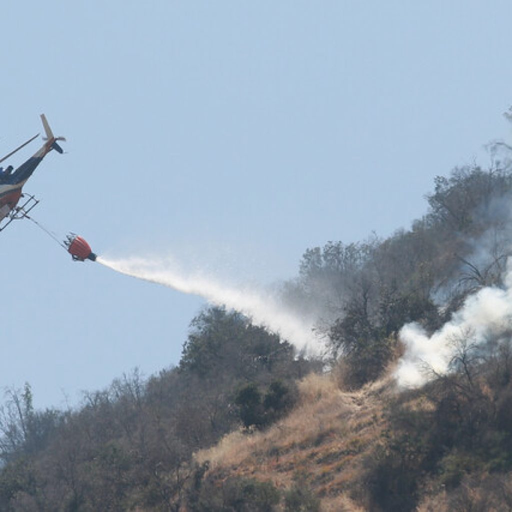 Incendio forestal en Cerro Manquehue ha consumido 5 hectáreas