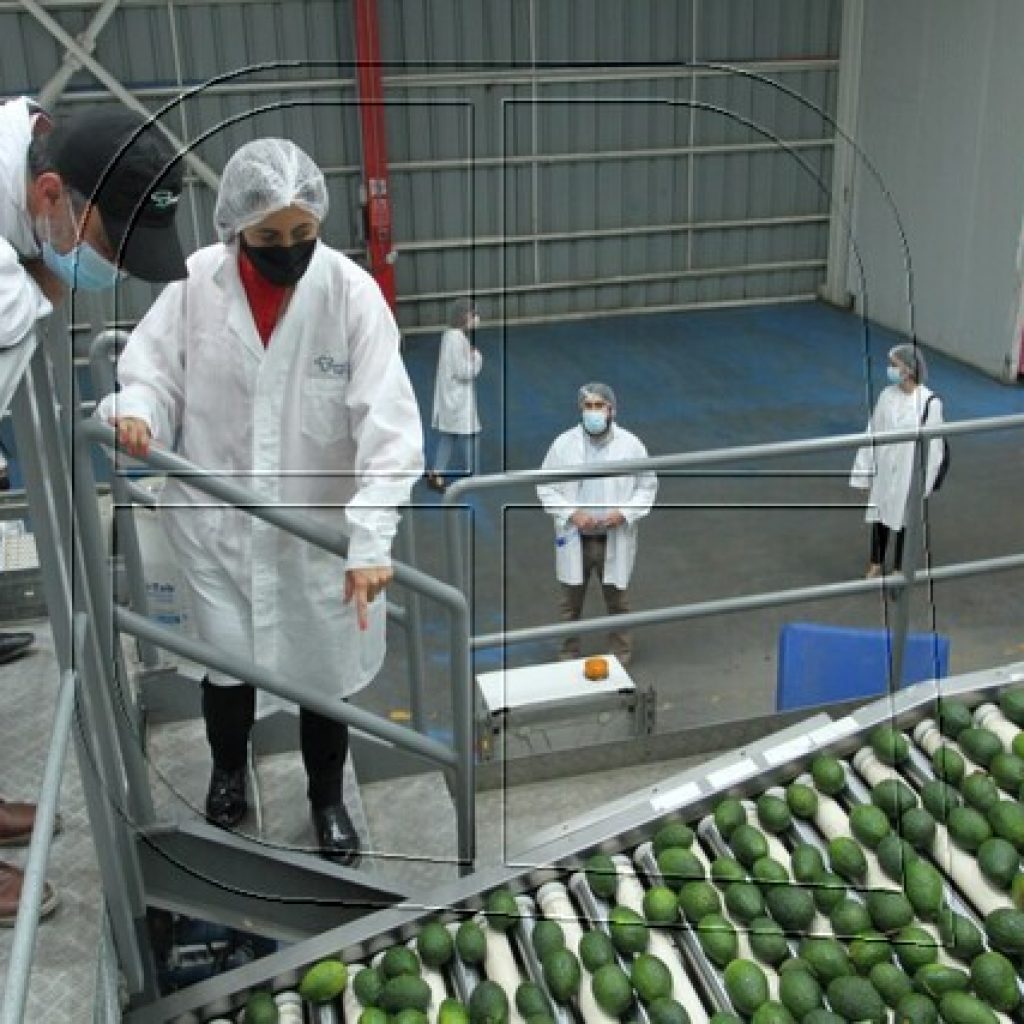 Minagri da inicio a la Temporada de Exportaciones Agrícolas 2021 – 2022