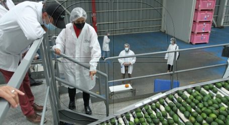 Minagri da inicio a la Temporada de Exportaciones Agrícolas 2021 – 2022