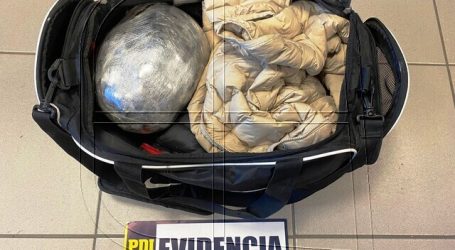 PDI incauta más de 5 millones de pesos de cannabis sativa en control carretero