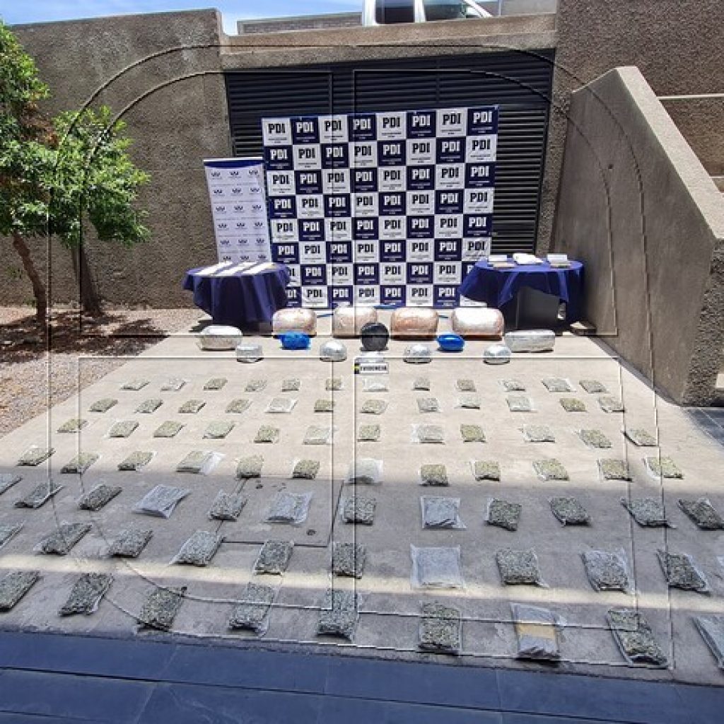 Detienen a 4 extranjeros e incautan más de 134 kilos de diversos tipo de drogas