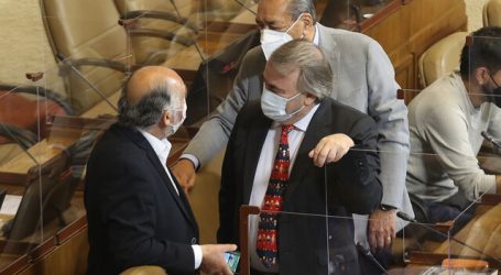 Cámara de Diputados aprueba y despacha el matrimonio igualitario