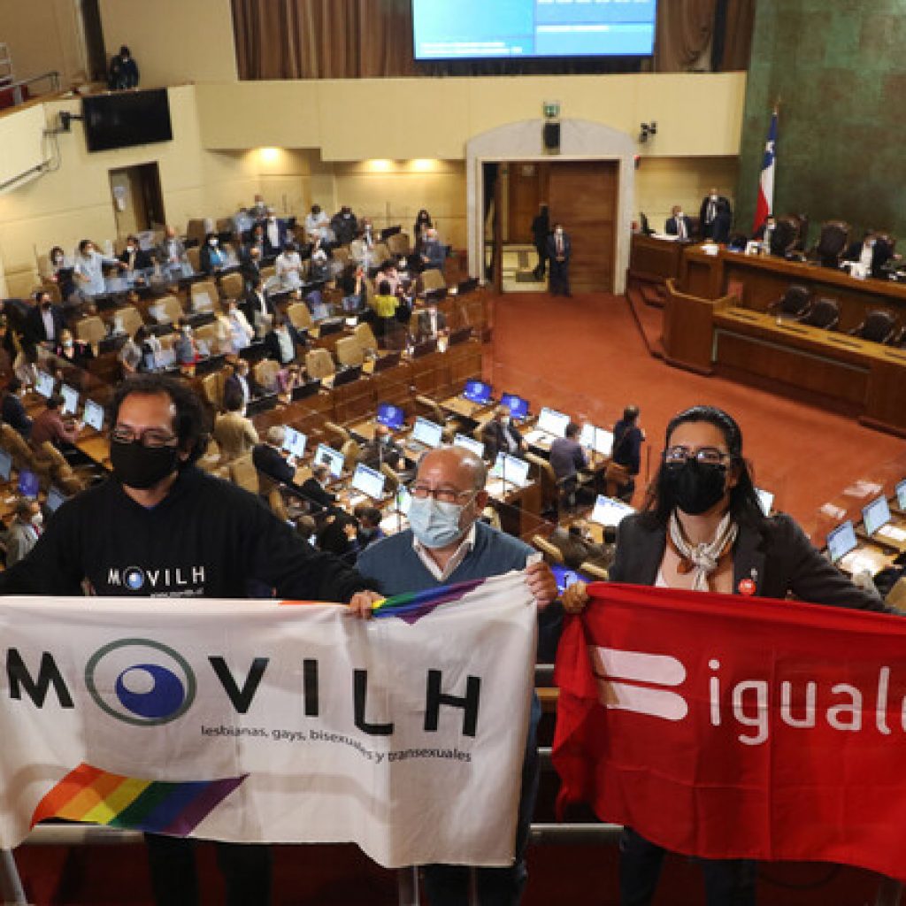 "Iguales" valoró aprobación en la Cámara del matrimonio igualitario