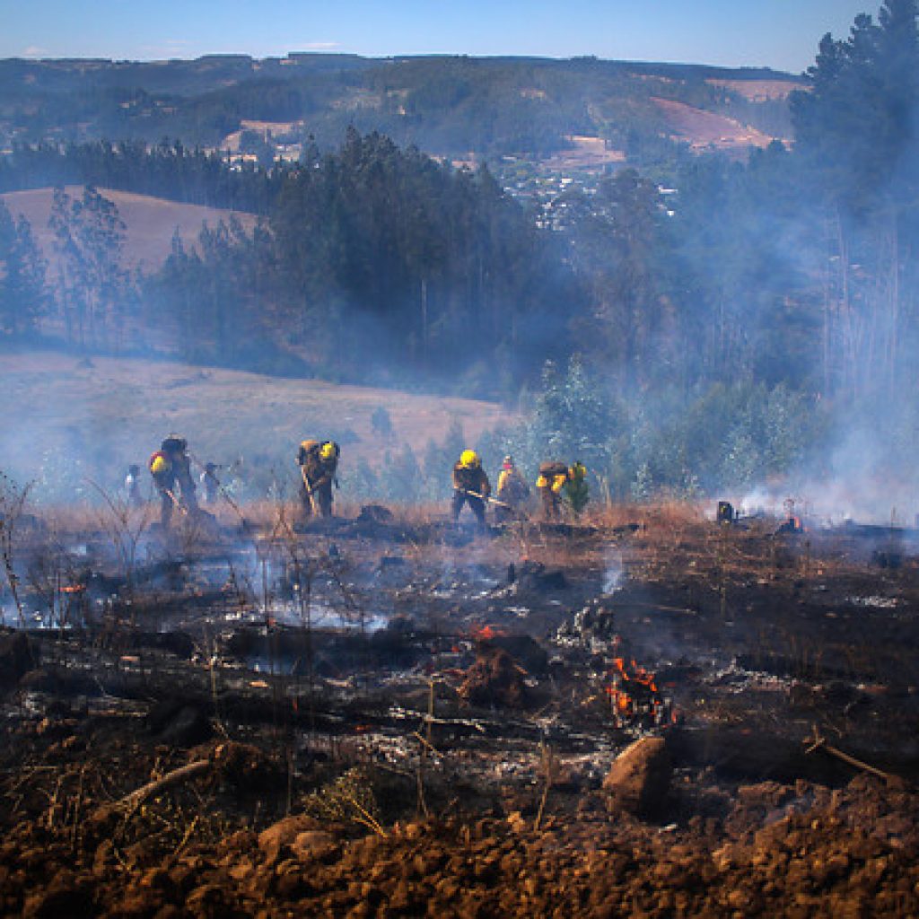 Declaran Alerta Roja para Lumaco y Carahue por incendio forestal