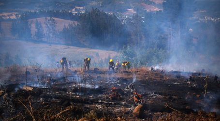 Mantienen Alerta Roja para Quillón por incendio forestal