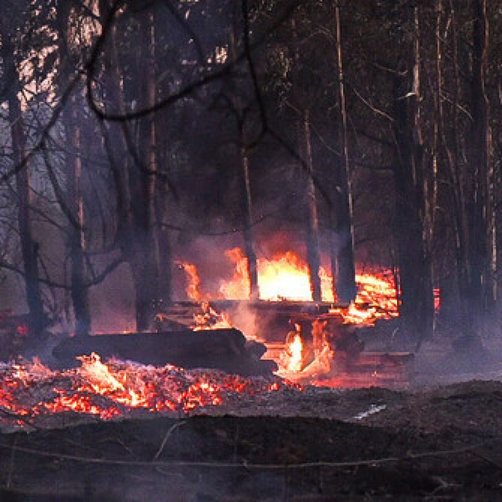 Suspenden temporalmente ruta Angol - Collipulli por incendio forestal