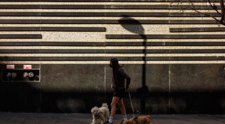 Colmevet presenta recurso de protección contra el ISP por uso de fármaco