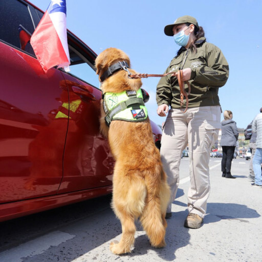 Refuerzan plan de contingencia en carreteras ante masiva salida vehicular