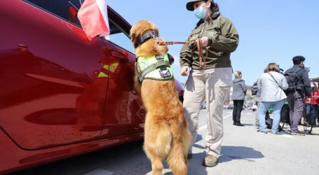 Refuerzan plan de contingencia en carreteras ante masiva salida vehicular