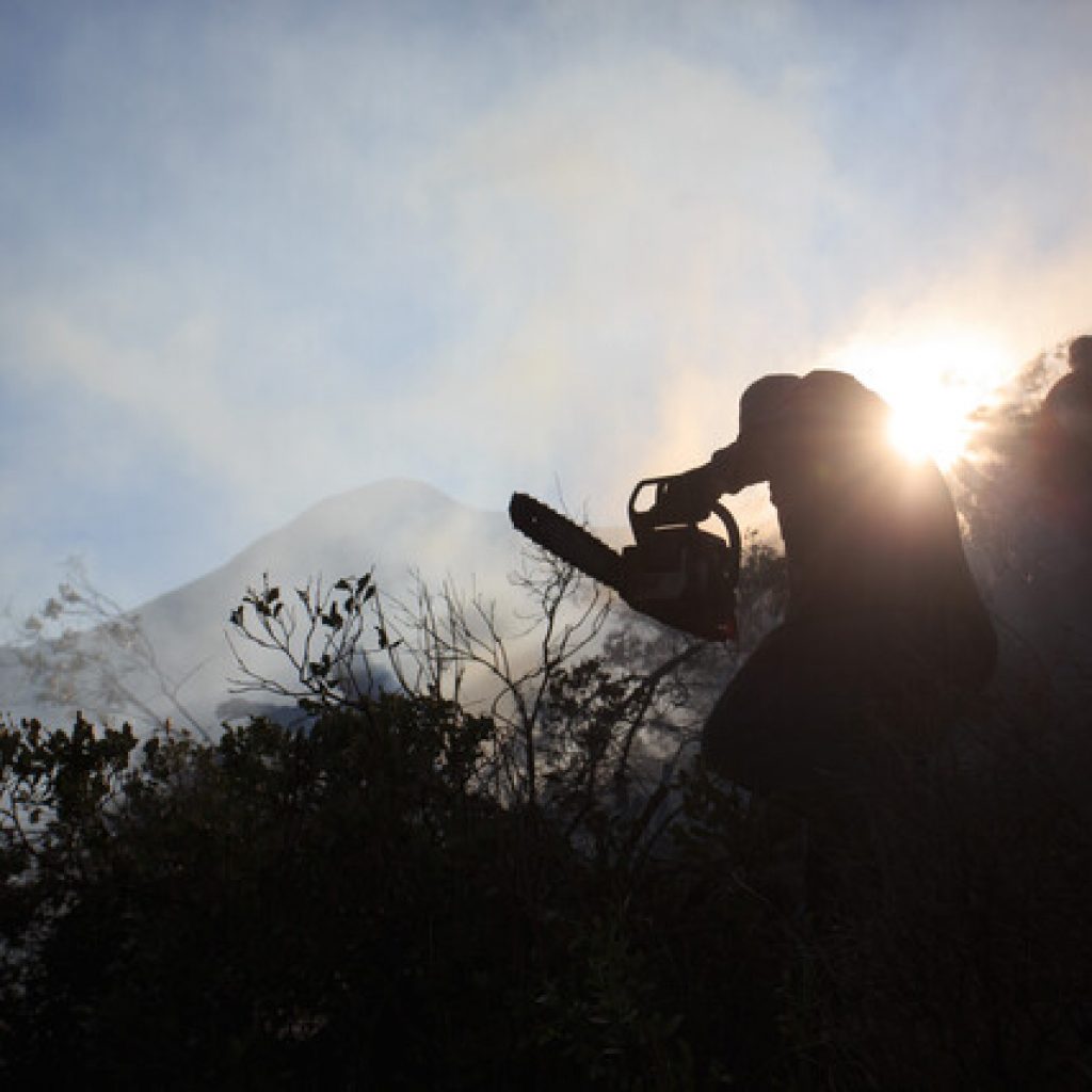 Alerta Roja para la comuna de Puerto Montt por incendio forestal