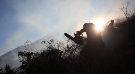 Alerta Roja para la comuna de Puerto Montt por incendio forestal