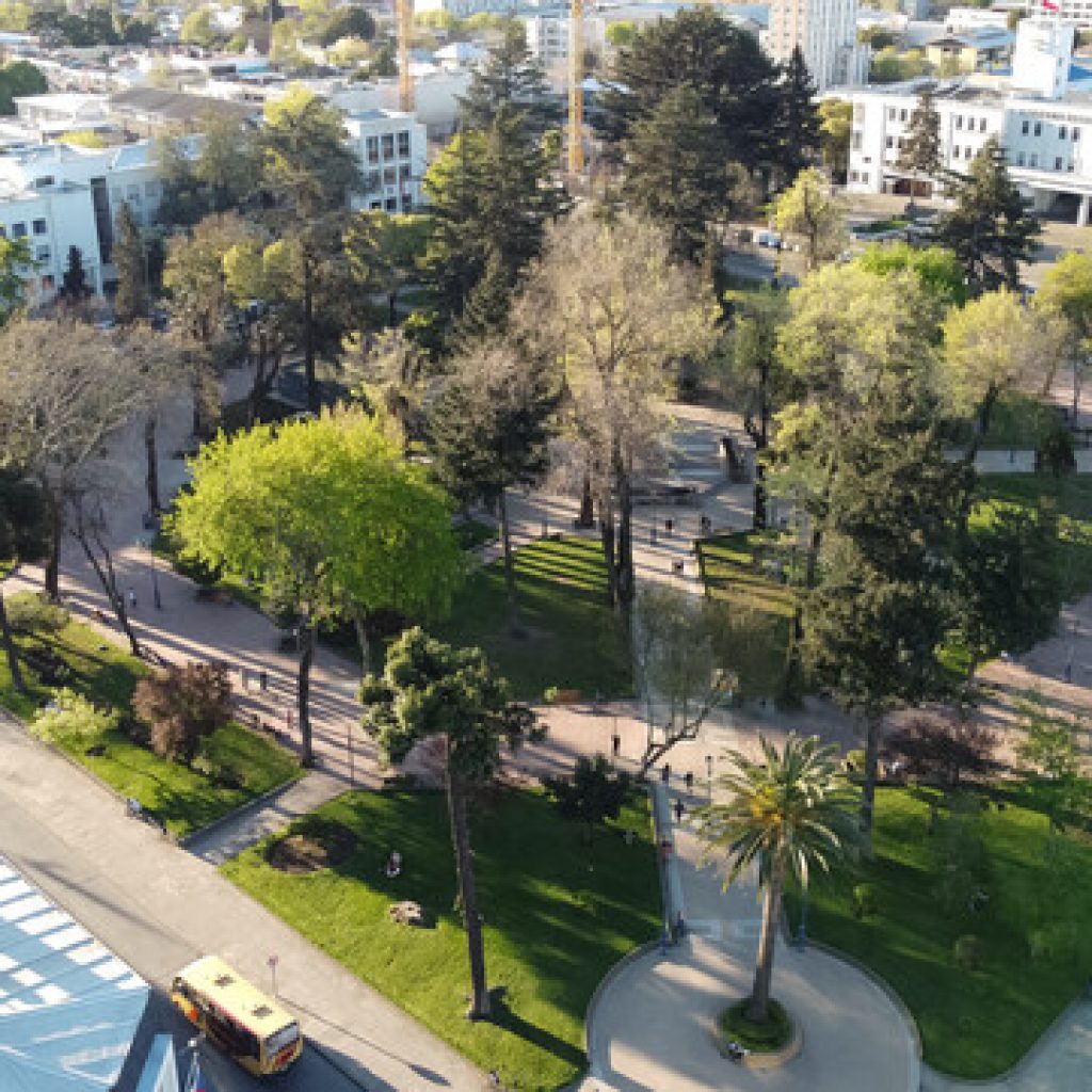 Paso a Paso: 10 comunas avanzarán a Apertura Inicial y Preparación