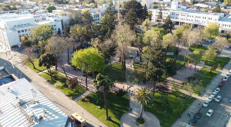 Paso a Paso: 10 comunas avanzarán a Apertura Inicial y Preparación