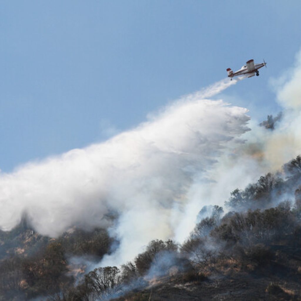 Mantienen Alerta Roja para Requínoa y Machalí por incendio forestal