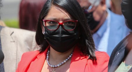 Constituyente Hurtado pidió a Boric no abandonar a víctimas de la macrozona sur