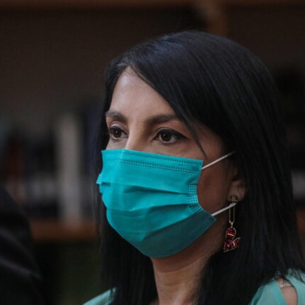 Elecciones: Rubilar destacó medidas tomadas para facilitar la participación