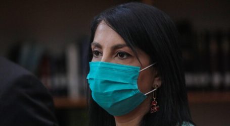 Elecciones: Rubilar destacó medidas tomadas para facilitar la participación