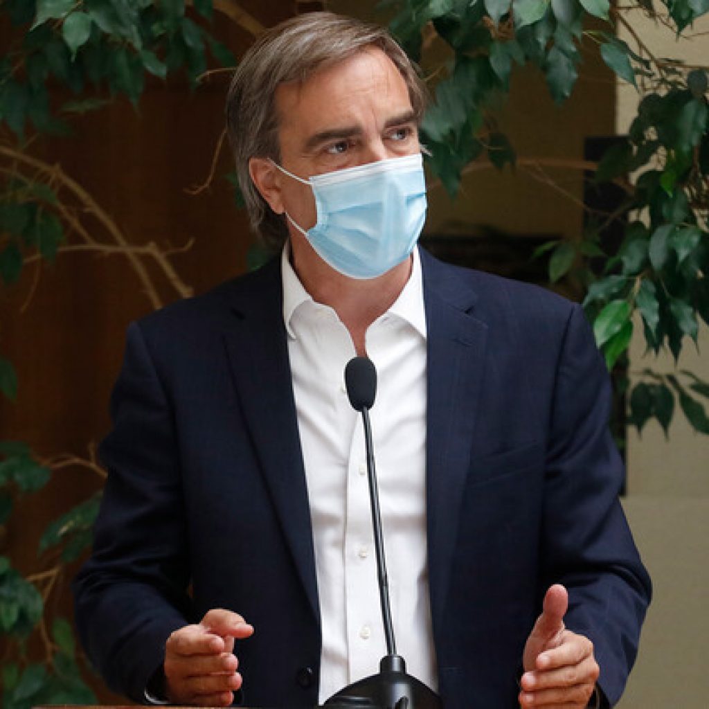 Luciano Cruz-Coke cuestionó declaraciones de Ignacio Briones