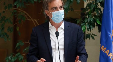 Luciano Cruz-Coke cuestionó declaraciones de Ignacio Briones