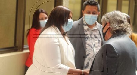 Navarro espera que Campillai sea la próxima presidenta de la Comisión de DD.HH.