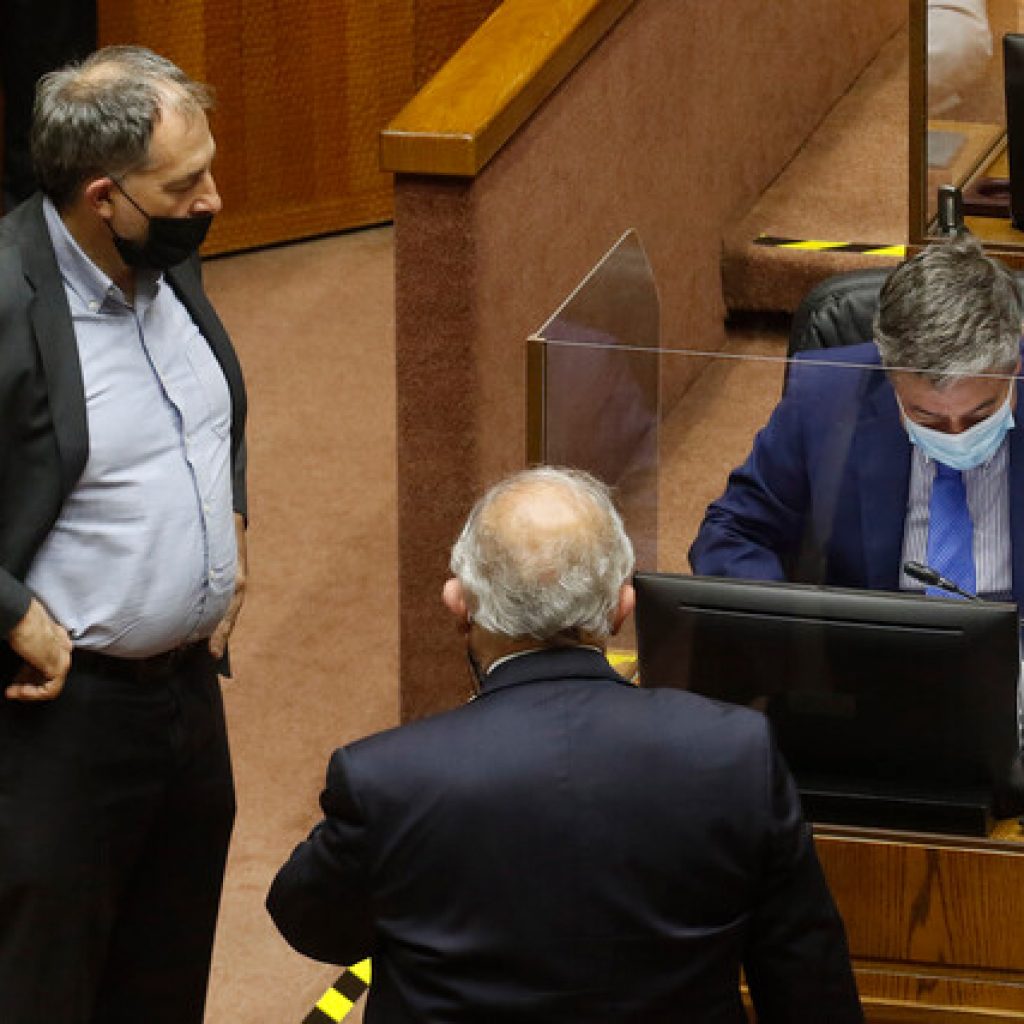 Senado se compromete con campaña "Cero Jaulas"