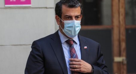 Gobierno adhirió a privacidad pedida por familia tras muerte de Lucía Hiriart