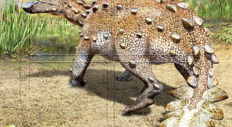 Min. de Ciencia suma a nuevo dinosaurio chileno a su app de realidad aumentada