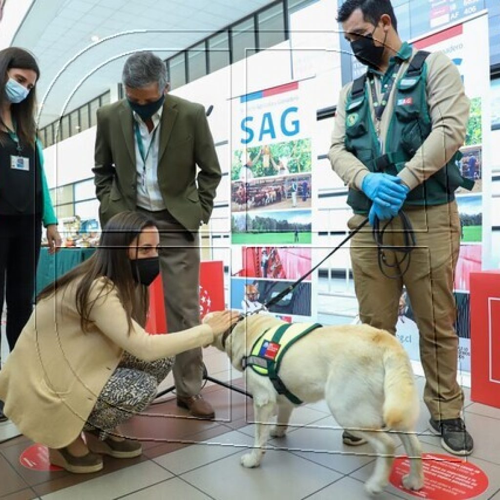 Lanzan campaña para viajeros y así proteger el patrimonio fito y zoosanitario