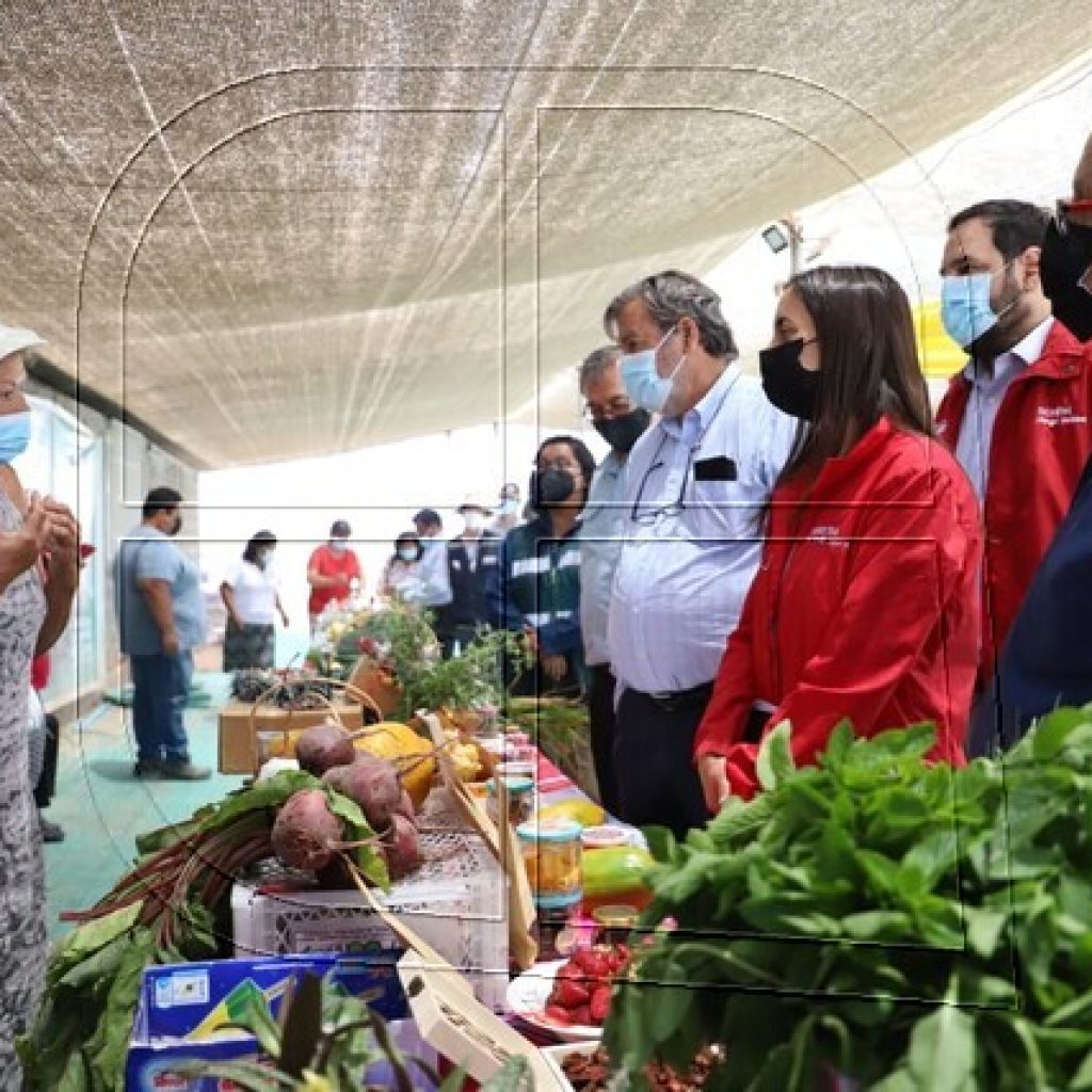 Undurraga y Pampa Concordia: “Ejemplo de cómo producir alimentos en el desierto"