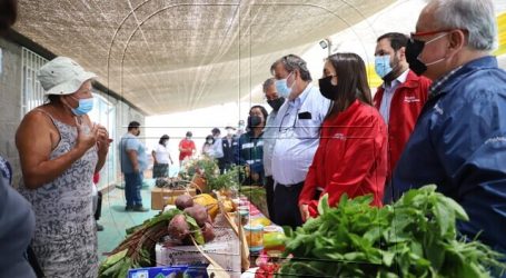 Undurraga y Pampa Concordia: “Ejemplo de cómo producir alimentos en el desierto”