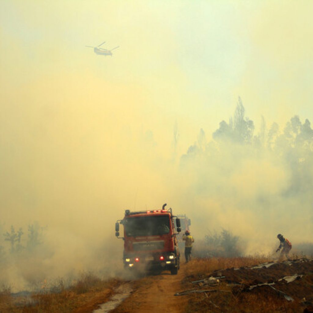 Gobierno decretó Zona de Emergencia Agrícola en Quillón por incendio forestal