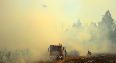 Gobierno decretó Zona de Emergencia Agrícola en Quillón por incendio forestal