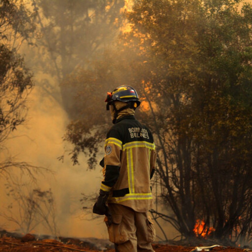 Coquimbo: Refuerzan el llamado a la población a prevenir incendios forestales