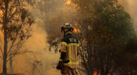 Coquimbo: Refuerzan el llamado a la población a prevenir incendios forestales