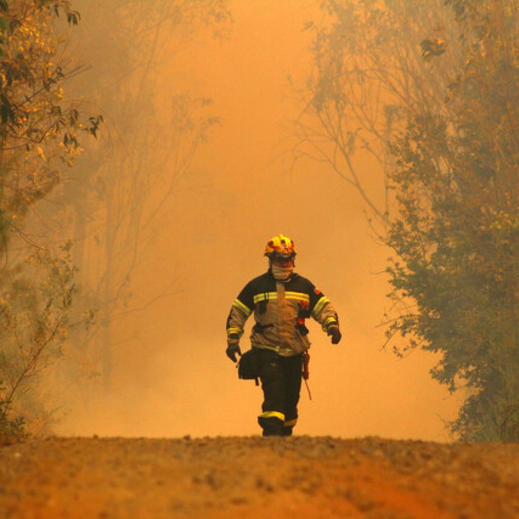 Se reportan 20 incendios forestales activos en el país