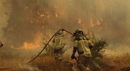 Incendios forestales afectan 30 mil hectáreas a nivel nacional