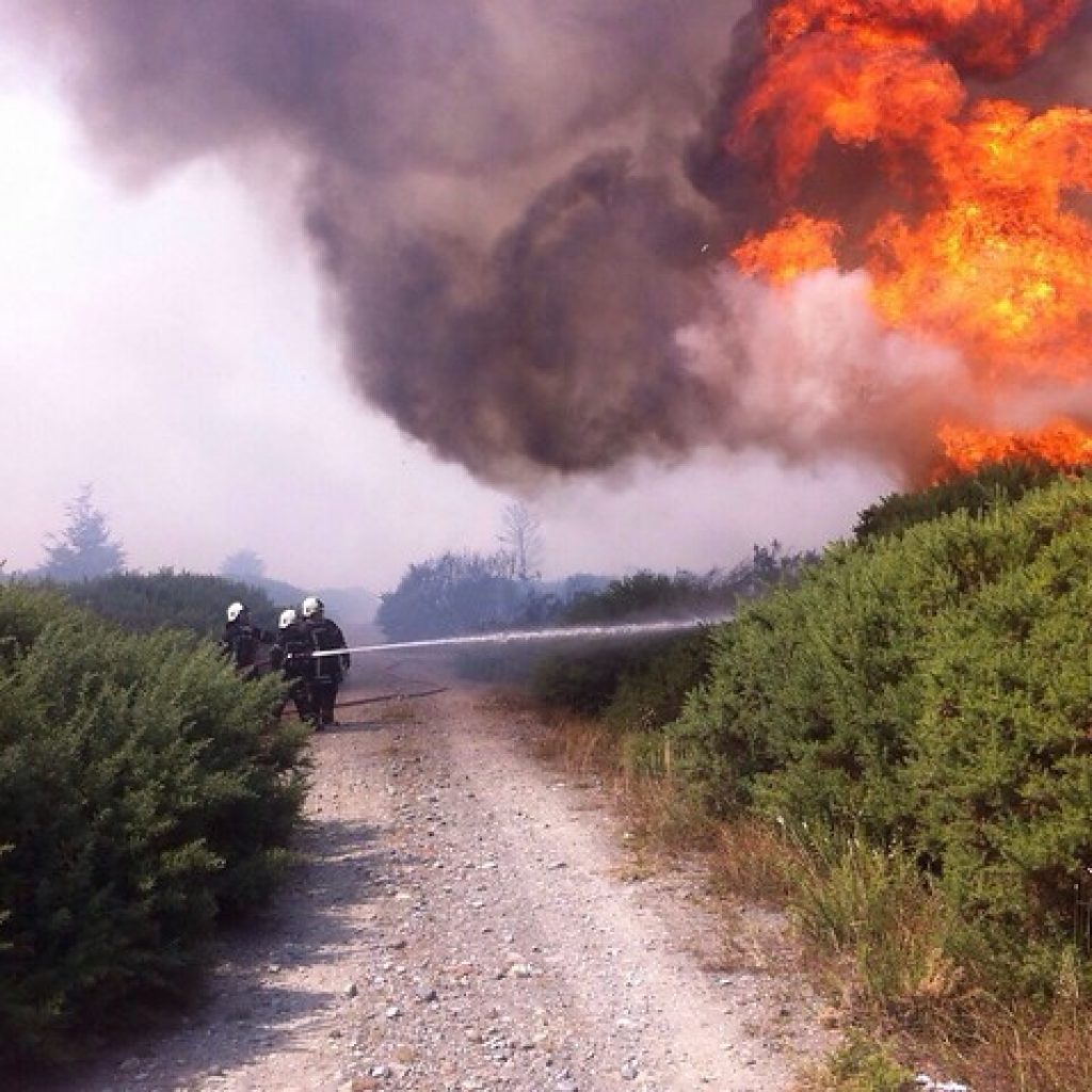 Declaran Alerta Roja para Puerto Montt por incendio forestal