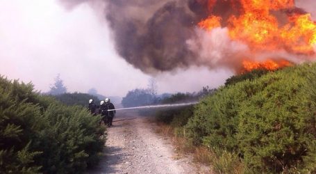Declaran Alerta Roja para Puerto Montt por incendio forestal