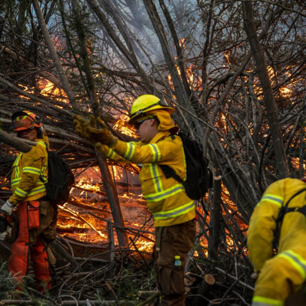 Declaran Alerta Roja para Chillán por incendio forestal