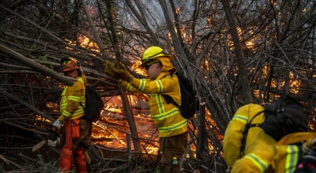 Declaran Alerta Roja para Chillán por incendio forestal