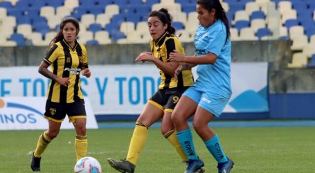 Aprueban proyecto que obliga a firmar contratos con futbolistas profesionales