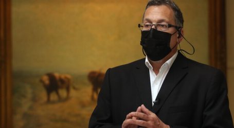 Lagos Weber reiteró llamado a buscar nuevos mecanismos de financiamiento de PGU