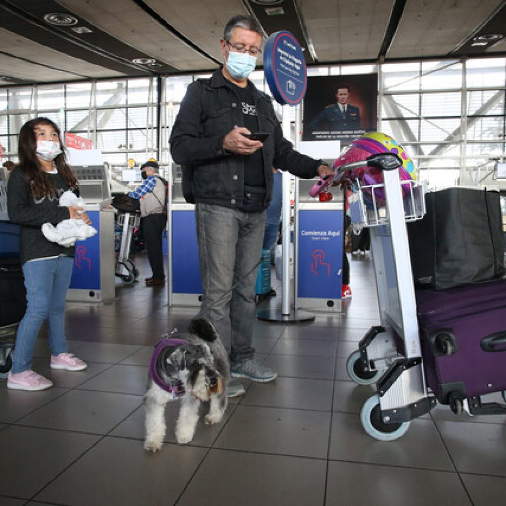 SAG y Nuevo Pudahuel recuerdan requisitos para viajar al extranjero con mascotas